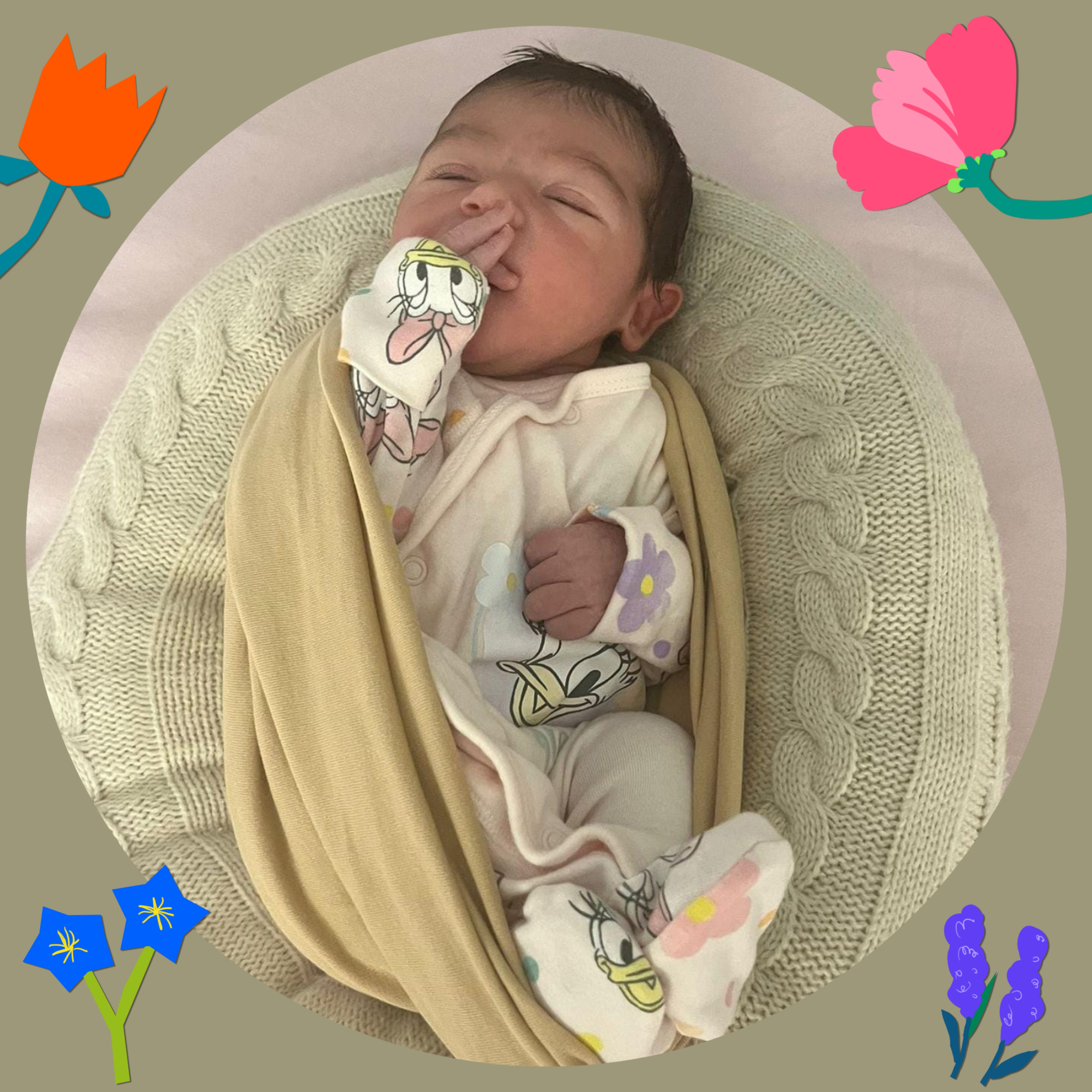 Baby Eda was born August 13th - her hobbies are sleeping and drinking milk so far... very relatable, don't you think?